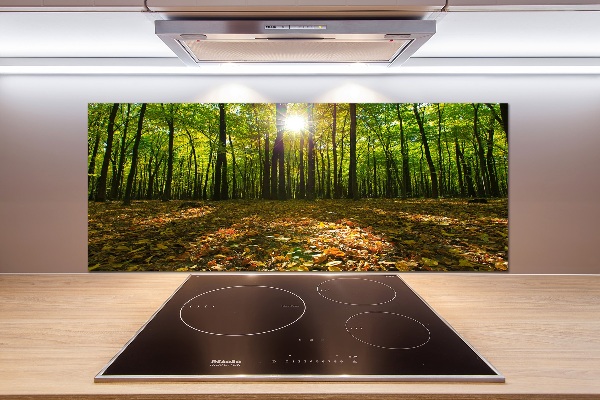 Panel tvrdené sklo do kuchyne Les
