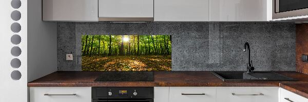 Panel tvrdené sklo do kuchyne Les