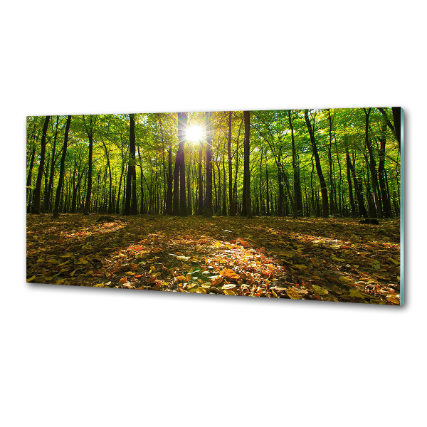 Panel tvrdené sklo do kuchyne Les