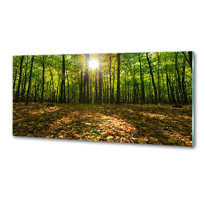 Panel tvrdené sklo do kuchyne Les