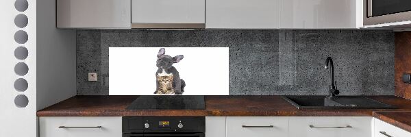 Dekoračný panel sklo Pes a mačka