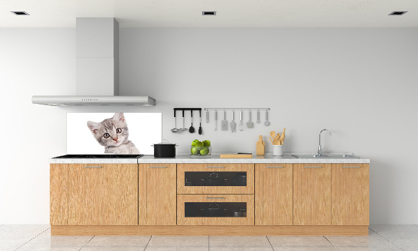 Sklenený panel do kuchynskej linky Sivá mačka