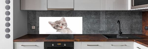 Sklenený panel do kuchynskej linky Sivá mačka