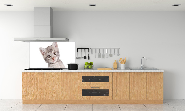 Sklenený panel do kuchynskej linky Sivá mačka
