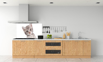 Sklenený panel do kuchynskej linky Sivá mačka