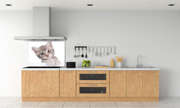 Sklenený panel do kuchynskej linky Sivá mačka