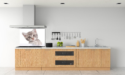 Sklenený panel do kuchynskej linky Sivá mačka
