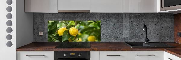 Panel do kuchyne Citróny na strome