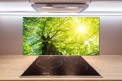 Panel do kuchyne Gaštan jar