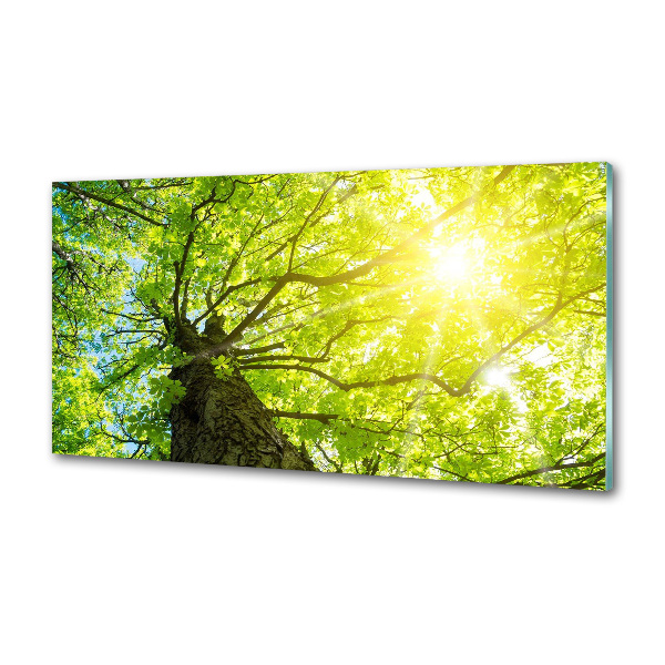 Panel do kuchyne Gaštan jar