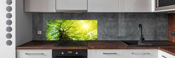 Panel do kuchyne Gaštan jar