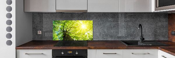 Panel do kuchyne Gaštan jar