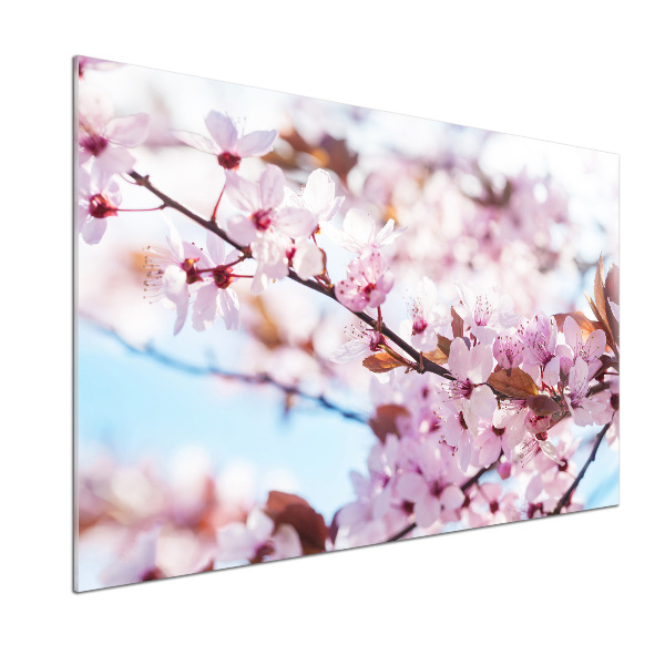 Dekoračný panel sklo Kvety višne