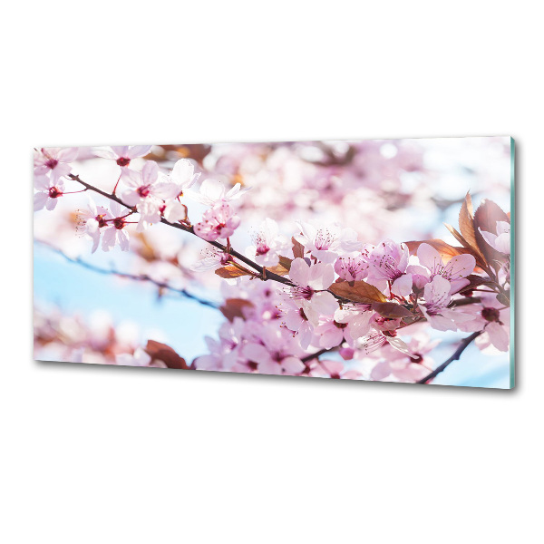 Dekoračný panel sklo Kvety višne