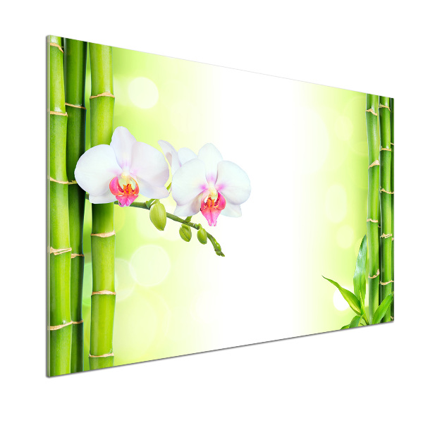 Panel do kuchyne Orchidea a bambus