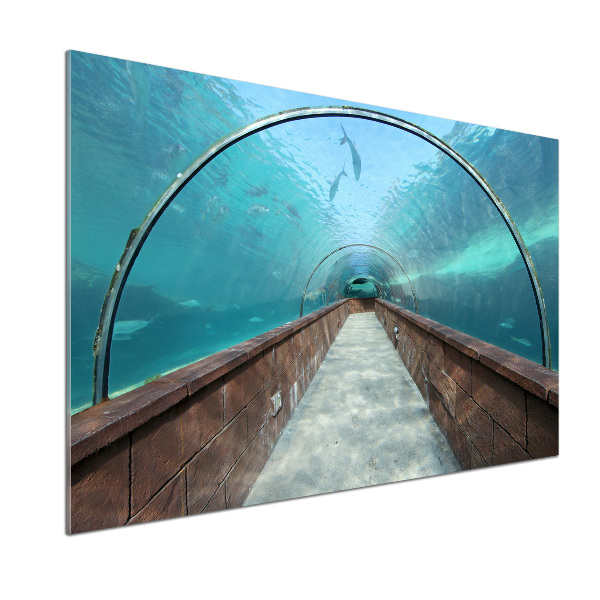 Panel do kuchyne Tunel akvárium