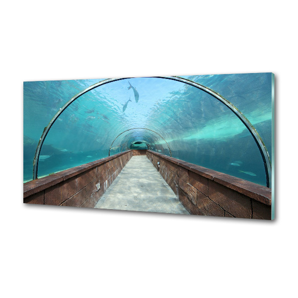 Panel do kuchyne Tunel akvárium