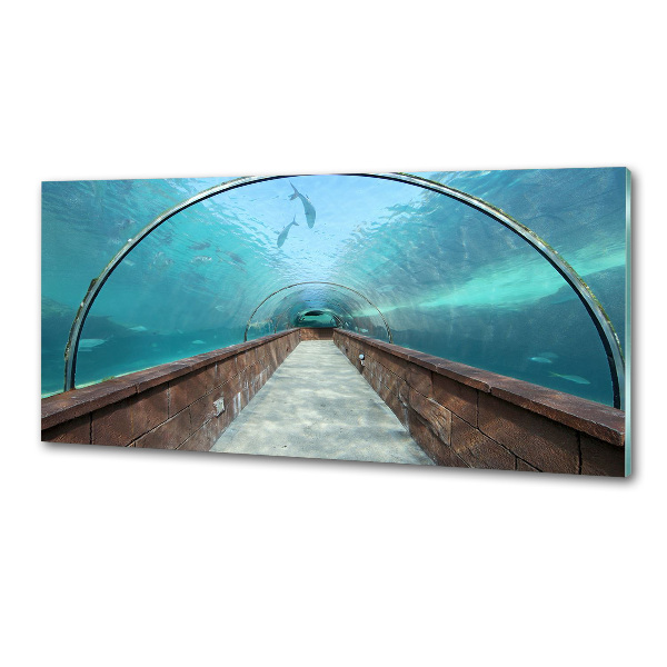 Panel do kuchyne Tunel akvárium