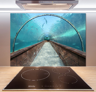 Panel do kuchyne Tunel akvárium