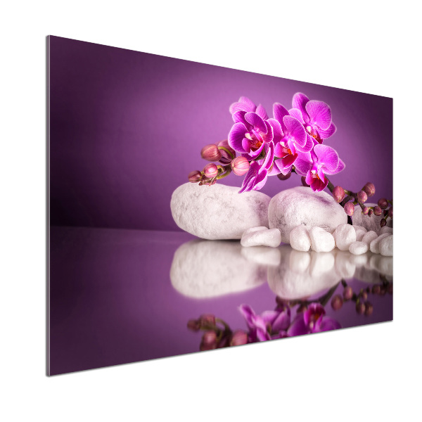 Panel do kuchyne Ružová orchidea