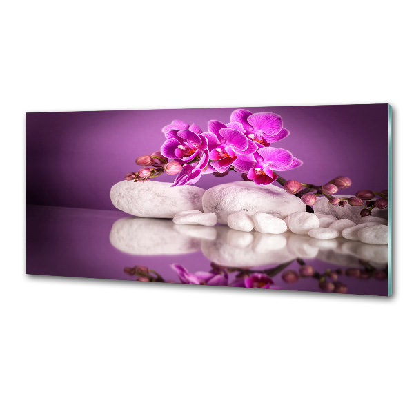 Panel do kuchyne Ružová orchidea