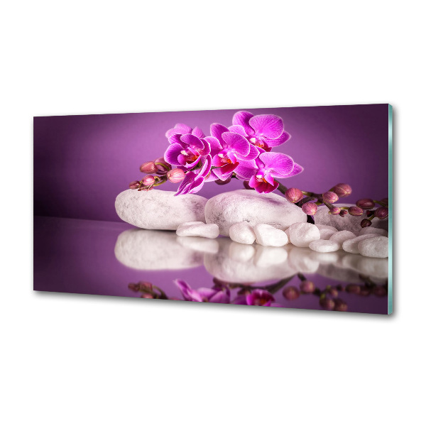 Panel do kuchyne Ružová orchidea