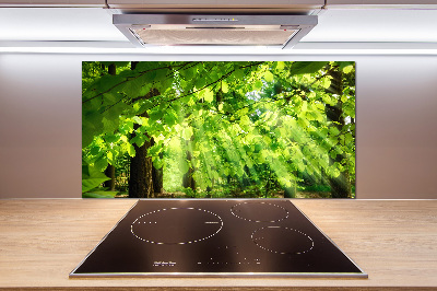 Dekoračný panel sklo Lístie buka