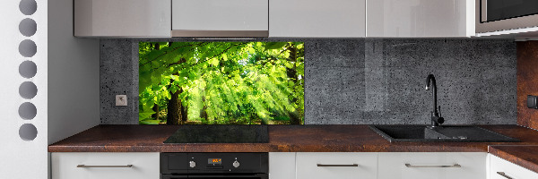 Dekoračný panel sklo Lístie buka