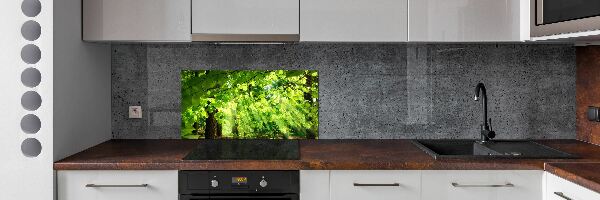 Dekoračný panel sklo Lístie buka
