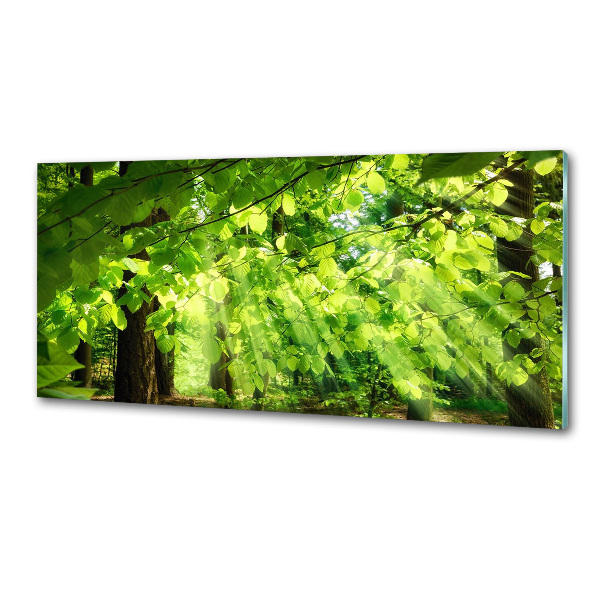 Dekoračný panel sklo Lístie buka