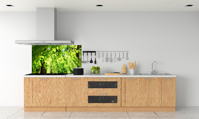 Dekoračný panel sklo Lístie buka