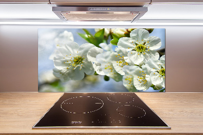 Dekoračný panel sklo Kvet višne