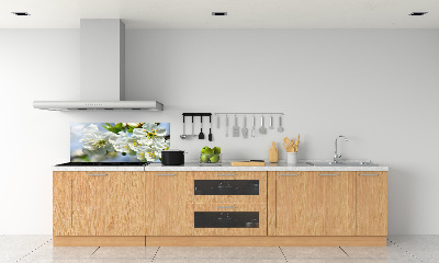 Dekoračný panel sklo Kvet višne