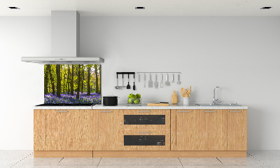 Dekoračný panel sklo Les jar