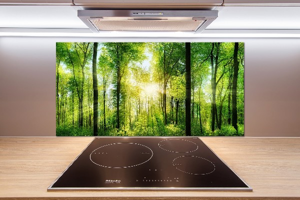 Dekoračný panel sklo Les slnko