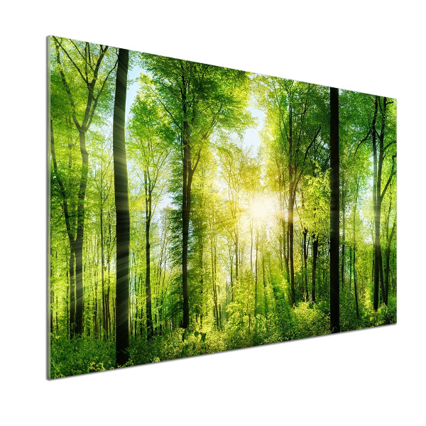 Dekoračný panel sklo Les slnko