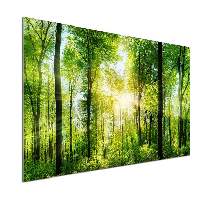 Dekoračný panel sklo Les slnko