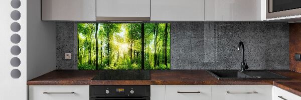 Dekoračný panel sklo Les slnko