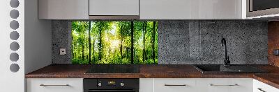 Dekoračný panel sklo Les slnko