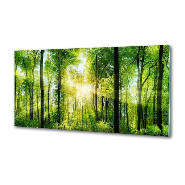Dekoračný panel sklo Les slnko