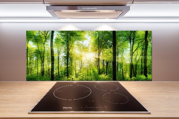 Dekoračný panel sklo Les slnko
