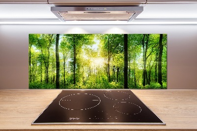 Dekoračný panel sklo Les slnko