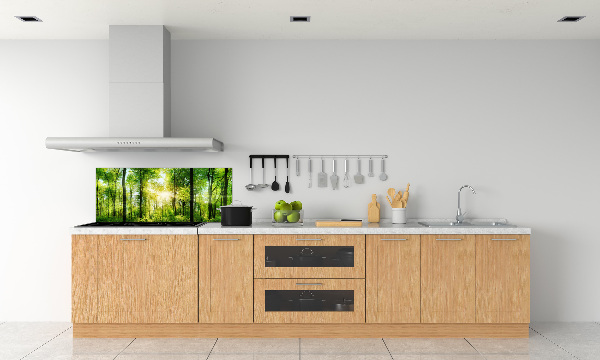 Dekoračný panel sklo Les slnko