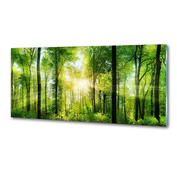 Dekoračný panel sklo Les slnko