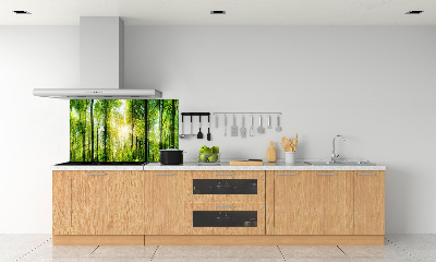 Dekoračný panel sklo Les slnko