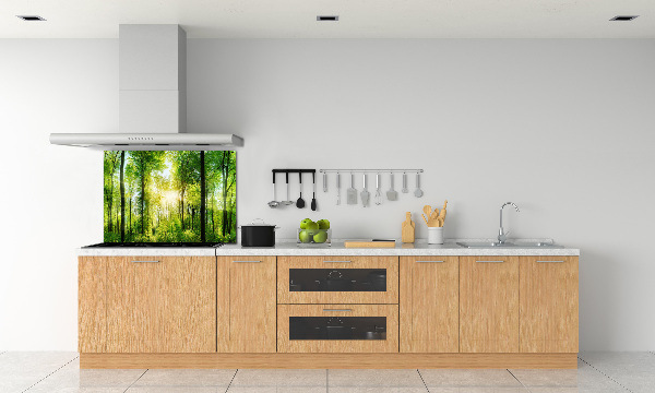 Dekoračný panel sklo Les slnko