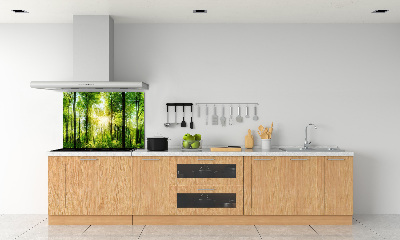 Dekoračný panel sklo Les slnko