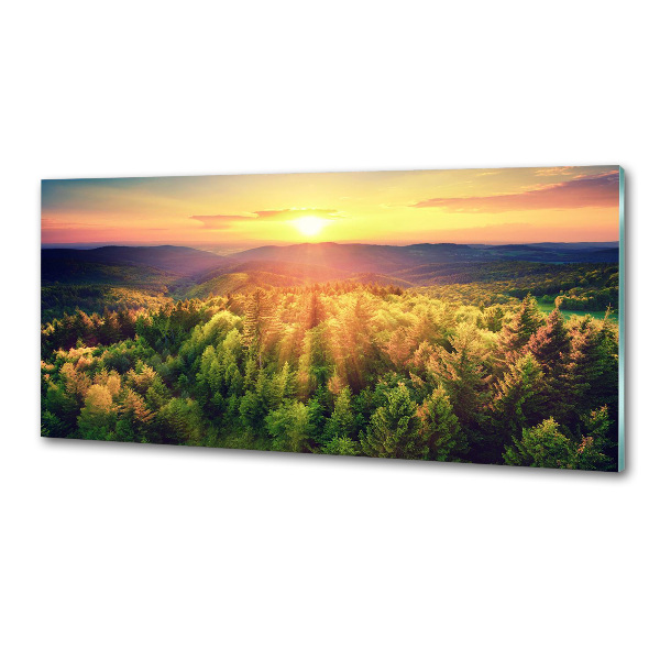 Panel do kuchyne Les západ slnka