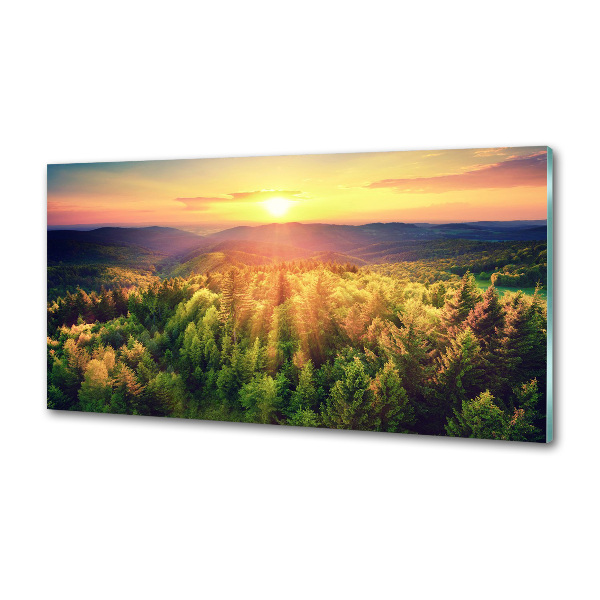 Panel do kuchyne Les západ slnka