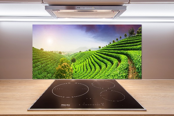 Panel do kuchyne Čajová plantáž